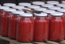 Kako se pravilno STERILIŠU tegle i flaše za ZIMNICU: Uradite ovako i nikad se više neće kvariti