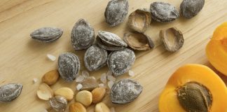 Gdje PRONAĆI vitamin B17 i KAKO ga koristiti Gdje PRONAĆI vitamin B17 i KAKO ga koristiti - featured image