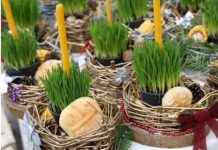 Ako se BOŽIĆNA PŠENICA POSADI NA OVAJ DAN kuća će biti blagoslovena cele godine Ako se BOŽIĆNA PŠENICA POSADI NA OVAJ DAN kuća će biti blagoslovena cele godine - featured image