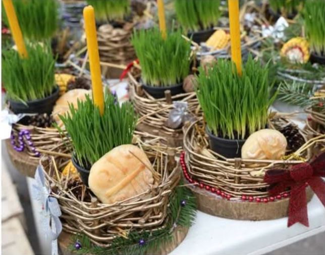 Ako se BOŽIĆNA PŠENICA POSADI NA OVAJ DAN kuća će biti blagoslovena cele godine - featured image Ako se BOŽIĆNA PŠENICA POSADI NA OVAJ DAN kuća će biti blagoslovena cele godine - featured image