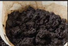 NEVJEROJATNA VRIJEDNOST TALOGA KAVE: OTKRIVANJE DVIJE ZAPANJUJUĆE KORIŠTENJA! NEVJEROJATNA VRIJEDNOST TALOGA KAVE: OTKRIVANJE DVIJE ZAPANJUJUĆE KORIŠTENJA! - featured image