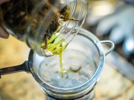 RECEPT ZA PRIRODNO LJEKOVITO ULJE: Prirodni saveznik protiv infekcija