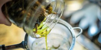 RECEPT ZA PRIRODNO LJEKOVITO ULJE: Prirodni saveznik protiv infekcija