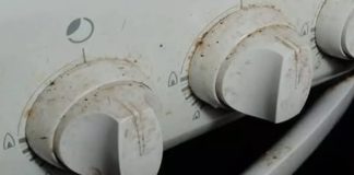 Odličan KUĆNI TRIK kako očistiti prljava i masna kola bez hemikalija: Testirano, djeluje odmah! Odličan KUĆNI TRIK kako očistiti prljava i masna kola bez hemikalija: Testirano, djeluje odmah! - featured image