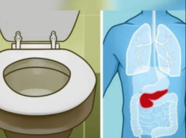 6 ZNAK0VA DA JE GUŠTERAČA U VELlK0J 0PASN0STI