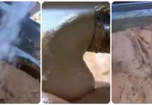 OVO JE NAJOPASNIJA NAMIRNICA, A STALNO JEDEMO: Stalno je na SNIŽENJU, a niko vam neće reći da može biti OTROVNA! OVO JE NAJOPASNIJA NAMIRNICA, A STALNO JEDEMO: Stalno je na SNIŽENJU, a niko vam neće reći da može biti OTROVNA! - featured image