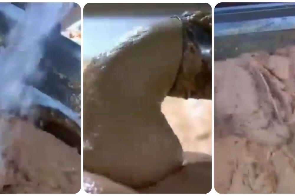 OVO JE NAJOPASNIJA NAMIRNICA, A STALNO JEDEMO: Stalno je na SNIŽENJU, a niko vam neće reći da može biti OTROVNA! - featured image OVO JE NAJOPASNIJA NAMIRNICA, A STALNO JEDEMO: Stalno je na SNIŽENJU, a niko vam neće reći da može biti OTROVNA! - featured image