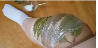 Otkrijte zapanjujuću tajnu stvaranja nečeg nevjerojatnog samo s lovorovim listom i hula hoop čarapom! Pripremite se biti zadivljeni! Otkrijte zapanjujuću tajnu stvaranja nečeg nevjerojatnog samo s lovorovim listom i hula hoop čarapom! Pripremite se biti zadivljeni! - featured image