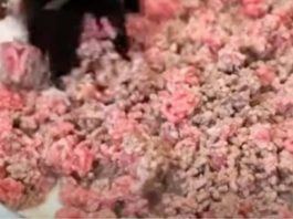 ZAŠTO SE PRVO PRŽI MLJEVENO MESO, PA SE TEK ONDA DODAJE CRNI LUK? Kuvarica otkrila tajnu, LJUDI ZINULI OD ŠOKA ZAŠTO SE PRVO PRŽI MLJEVENO MESO, PA SE TEK ONDA DODAJE CRNI LUK? Kuvarica otkrila tajnu, LJUDI ZINULI OD ŠOKA - featured image