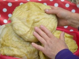 AK0 KRENE DA SE KVARl, lMA MU SPASA: Ev0 šta uraditi s kiselim kupusom ako su glavice premekane !