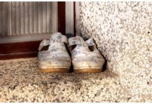 Nema gore nesreće nego ako pred vratima imate ovo: Veruje se da donosi bedu i siromaštvo u kuću Nema gore nesreće nego ako pred vratima imate ovo: Veruje se da donosi bedu i siromaštvo u kuću - featured image