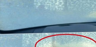 TRIK ZA ODMRZAVANJE ŠOFERŠAJBNE ZA KOJIM JE POLUDILO 3,7 MILIONA LJUDI: Ovoga se NIKAD ne biste sjetili, a toliko je JEDNOSTAVNO! TRIK ZA ODMRZAVANJE ŠOFERŠAJBNE ZA KOJIM JE POLUDILO 3,7 MILIONA LJUDI: Ovoga se NIKAD ne biste sjetili, a toliko je JEDNOSTAVNO! - featured image