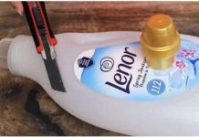 5 GENIJALNIH IDEJA! Ne bacajte prazne boce od omekšivača i praška 5 GENIJALNIH IDEJA! Ne bacajte prazne boce od omekšivača i praška - featured image