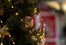 Kako da okitite jelku da privučete nov@c u 2026: Jedan stil je magnet za bog@tstvo, a stari ukras najvažniji Kako da okitite jelku da privučete nov@c u 2026: Jedan stil je magnet za bog@tstvo, a stari ukras najvažniji - featured image