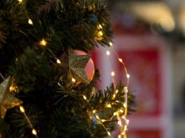 Kako da okitite jelku da privučete nov@c u 2026: Jedan stil je magnet za bog@tstvo, a stari ukras najvažniji Kako da okitite jelku da privučete nov@c u 2026: Jedan stil je magnet za bog@tstvo, a stari ukras najvažniji - featured image