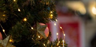 Kako da okitite jelku da privučete nov@c u 2026: Jedan stil je magnet za bog@tstvo, a stari ukras najvažniji Kako da okitite jelku da privučete nov@c u 2026: Jedan stil je magnet za bog@tstvo, a stari ukras najvažniji - featured image