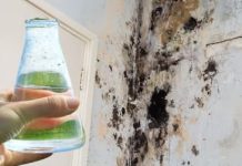 SAMO 1 kap i plijesan odmah nestaje sa zidova! SAMO 1 kap i plijesan odmah nestaje sa zidova! - featured image