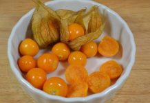 UZIMA SE SAMO JEDNOM DNEVNO: Protiv najtežih oblika bolesti debelog crijeva, jetre, prostate… UZIMA SE SAMO JEDNOM DNEVNO: Protiv najtežih oblika bolesti debelog crijeva, jetre, prostate… - featured image