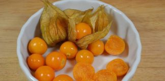 UZIMA SE SAMO JEDNOM DNEVNO: Protiv najtežih oblika bolesti debelog crijeva, jetre, prostate… UZIMA SE SAMO JEDNOM DNEVNO: Protiv najtežih oblika bolesti debelog crijeva, jetre, prostate… - featured image