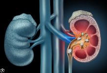 BROJ MOKRENJA GOVORI O ZDRAVLJU BUBREGA