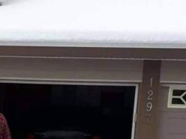 Hrvat iz Kanade čistio je snijeg pa svojim kreativnim izričajem nasmijao cijelu zemlju, fotka je hit Hrvat iz Kanade čistio je snijeg pa svojim kreativnim izričajem nasmijao cijelu zemlju, fotka je hit - featured image