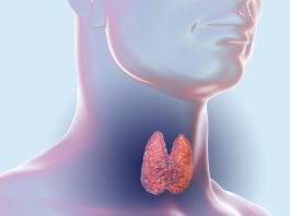 Ukoliko imate problema sa štitnjačom, izbjegavajte ovu hranu Ukoliko imate problema sa štitnjačom, izbjegavajte ovu hranu - featured image