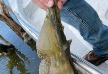 Dodirnuo ga je i pomaknuo se. Nitko se nakon toga nije usudio približiti vodi