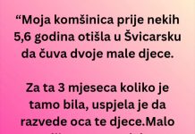 “Moja komšinica pre nekih 5,6 godina otišla u Švicarsku da čuva dvoje male djece…” “Moja komšinica pre nekih 5,6 godina otišla u Švicarsku da čuva dvoje male djece…” - featured image