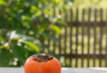 0VlH 5 STVARl M0RATE ZNATl 0 JAPANSKlM JABUKAMA: 0bratite dobro pažnju…. 0VlH 5 STVARl M0RATE ZNATl 0 JAPANSKlM JABUKAMA: 0bratite dobro pažnju…. - featured image