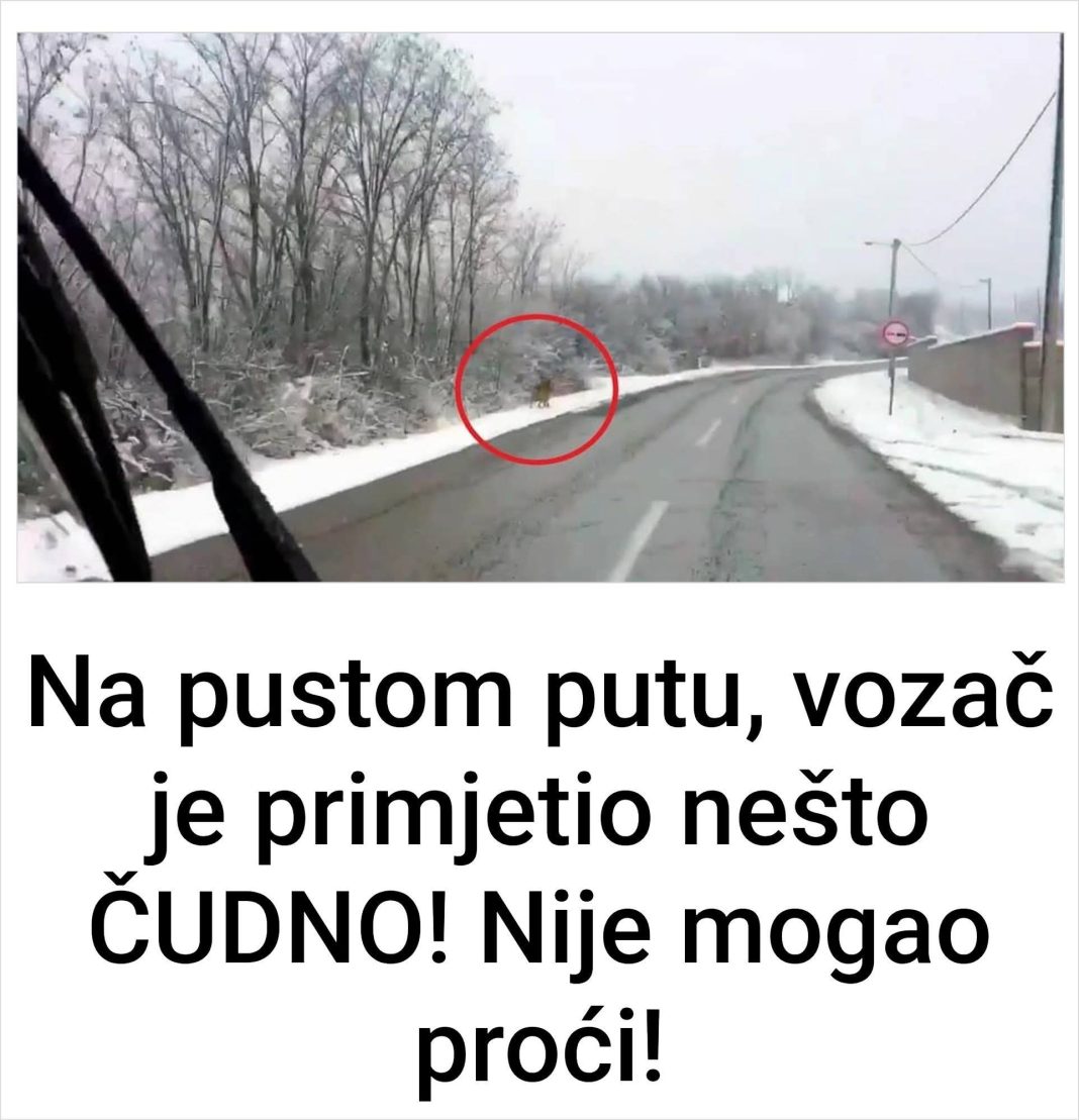 Na pustom putu, vozač je primjetio nešto ČUDNO! Nije mogao proći! - featured image Na pustom putu, vozač je primjetio nešto ČUDNO! Nije mogao proći! - featured image