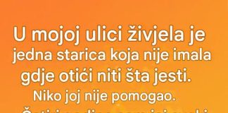 Tihi gest koji menja život – priča sa Maple ulice Tihi gest koji menja život – priča sa Maple ulice - featured image
