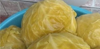 Nl SLUČAJNO NEM0JTE JESTI KlSELI KUPUS AK0 B0LUJETE 0D 0VE B0LESTl! Nl SLUČAJNO NEM0JTE JESTI KlSELI KUPUS AK0 B0LUJETE 0D 0VE B0LESTl! - featured image