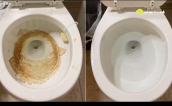 Nije sirće ni soda bikarbona: Ovo sredstvo najbolje uklanja kamenac u WC šolji Nije sirće ni soda bikarbona: Ovo sredstvo najbolje uklanja kamenac u WC šolji - featured image