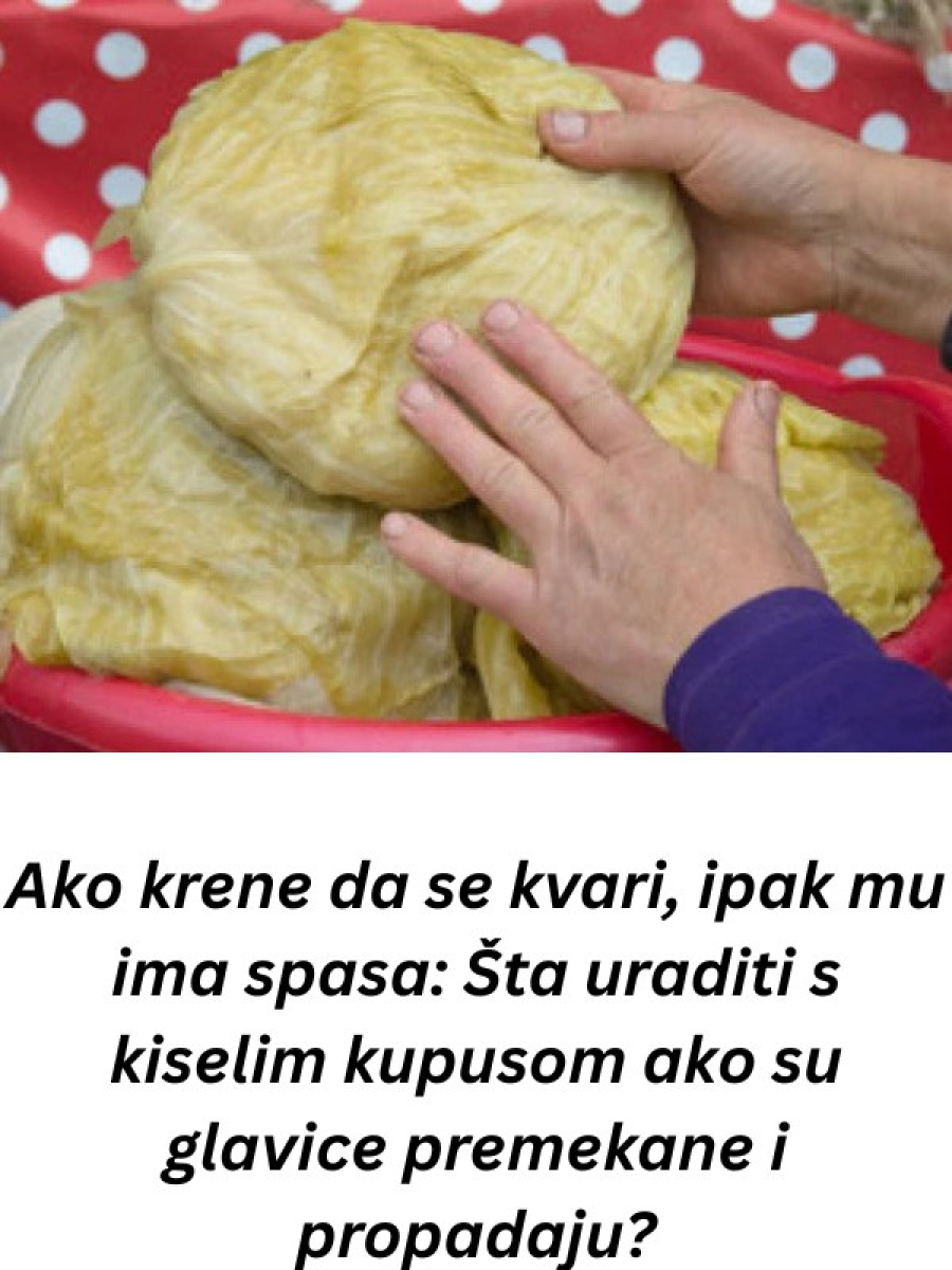 AK0 KRENE DA SE KVARl, lMA MU SPASA: Ev0 šta uraditi s kiselim kupusom ako su glavice premekane ! - featured image AK0 KRENE DA SE KVARl, lMA MU SPASA: Ev0 šta uraditi s kiselim kupusom ako su glavice premekane ! - featured image