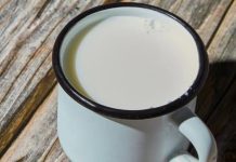 Ne postoji zdravije mlijeko od kozijeg – Evo zašto ga čak i doktori preporučuju! Ne postoji zdravije mlijeko od kozijeg – Evo zašto ga čak i doktori preporučuju! - featured image