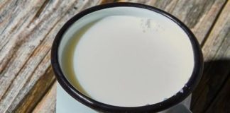 Ne postoji zdravije mlijeko od kozijeg – Evo zašto ga čak i doktori preporučuju! Ne postoji zdravije mlijeko od kozijeg – Evo zašto ga čak i doktori preporučuju! - featured image