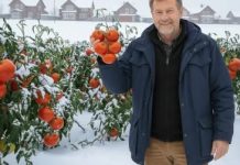 NIKAD ne čekaj proljeće! Posadi rajčicu u smrznuto tlo! NIKAD ne čekaj proljeće! Posadi rajčicu u smrznuto tlo! - featured image