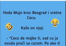 VIC: Mujo sretne Cecu VIC: Mujo sretne Cecu - featured image