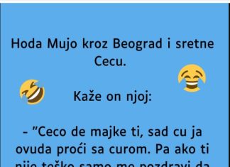 VIC: Mujo sretne Cecu VIC: Mujo sretne Cecu - featured image