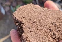 OVAKO, prije snjegova, napravite supstrat za buduću sjetvu rasada povrća OVAKO, prije snjegova, napravite supstrat za buduću sjetvu rasada povrća - featured image