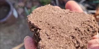 OVAKO, prije snjegova, napravite supstrat za buduću sjetvu rasada povrća OVAKO, prije snjegova, napravite supstrat za buduću sjetvu rasada povrća - featured image