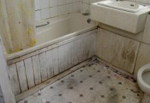 Nikada se ne biste SJETILI: Vlaga i buđ nestaju uz ovaj začin, efekat je gotovo trenutni Nikada se ne biste SJETILI: Vlaga i buđ nestaju uz ovaj začin, efekat je gotovo trenutni - featured image