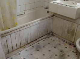 Nikada se ne biste SJETILI: Vlaga i buđ nestaju uz ovaj začin, efekat je gotovo trenutni Nikada se ne biste SJETILI: Vlaga i buđ nestaju uz ovaj začin, efekat je gotovo trenutni - featured image