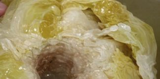 DOKTORI UPOZORILI: Ne jedite kiseli kupus ako bolujete od ovih bolesti DOKTORI UPOZORILI: Ne jedite kiseli kupus ako bolujete od ovih bolesti - featured image