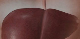 Jetra pod pritiskom: namirnice koje je opterećuju gotovo kao alkohol Jetra pod pritiskom: namirnice koje je opterećuju gotovo kao alkohol - featured image