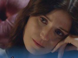 TEŠKO VAMA AKO S NJIMA BUDETE U NEVOLJI – BEŽE U ZAKLON NA PRVI ZNAK: Astrolozi otkrili KUKAVICE, poslednji je pobedio! TEŠKO VAMA AKO S NJIMA BUDETE U NEVOLJI – BEŽE U ZAKLON NA PRVI ZNAK: Astrolozi otkrili KUKAVICE, poslednji je pobedio! - featured image