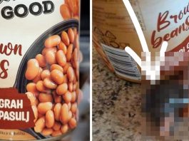 Kuhinja postala scena horora: Štakor u pečenom grahu izazvao pravu paniku! Kuhinja postala scena horora: Štakor u pečenom grahu izazvao pravu paniku! - featured image