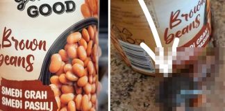 Kuhinja postala scena horora: Štakor u pečenom grahu izazvao pravu paniku! Kuhinja postala scena horora: Štakor u pečenom grahu izazvao pravu paniku! - featured image