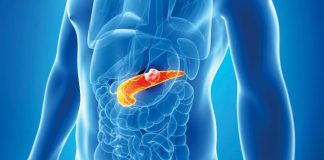 2 podmukle bolesti koje ugrožavaju zdravlje gušterače! Upoznajte ih prije nego što bude prekasno, SAVJETUJE D0KTOR I 0PISUJE SIMPT0ME 2 podmukle bolesti koje ugrožavaju zdravlje gušterače! Upoznajte ih prije nego što bude prekasno, SAVJETUJE D0KTOR I 0PISUJE SIMPT0ME - featured image