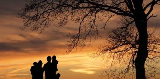 Na samrti mi je majka rekla jezivu tajnu dugu 70 godina: Kad sam otišla kasnije na groblje, utrnula sam od šok prizora Na samrti mi je majka rekla jezivu tajnu dugu 70 godina: Kad sam otišla kasnije na groblje, utrnula sam od šok prizora - featured image